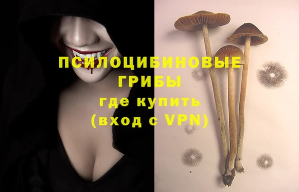 PSILOCYBIN Белокуриха